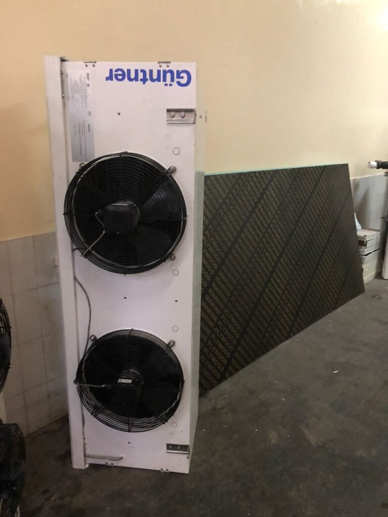 WhatsApp Image 2025-12-10 at 23.34.52_27c6a873